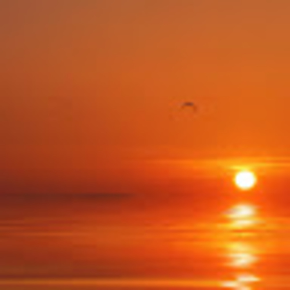 Meet your Posher, Orange